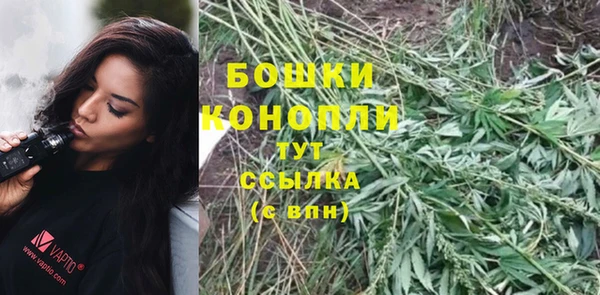 гидра Горнозаводск