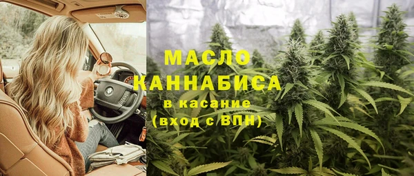 гидра Горнозаводск