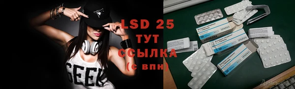 гидра Горнозаводск