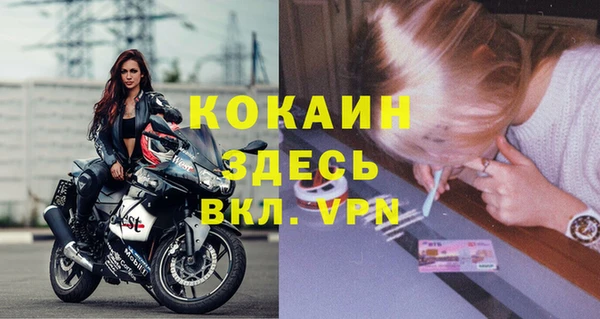 MESCALINE Горняк