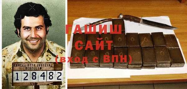 гидра Горнозаводск