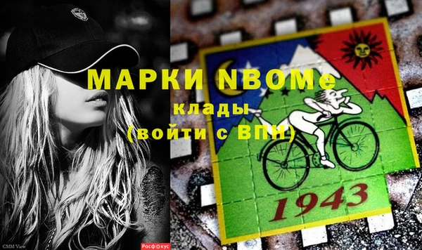 гидра Горнозаводск