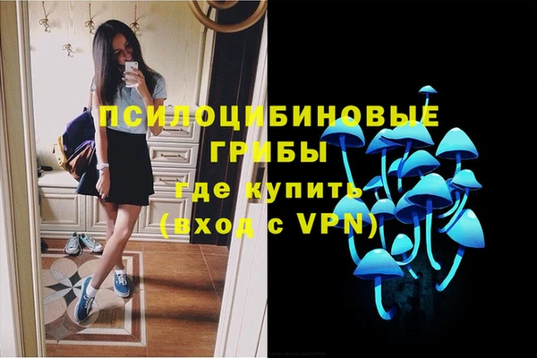 гидра Горнозаводск