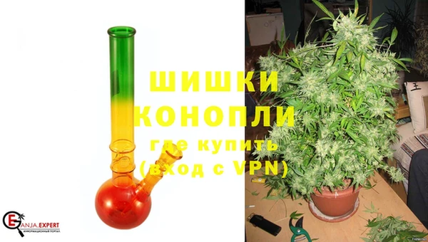 гидра Горнозаводск