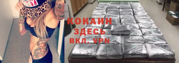 гидра Горнозаводск