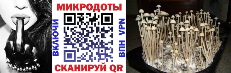 Псилоцибиновые грибы Psilocybine cubensis Питкяранта